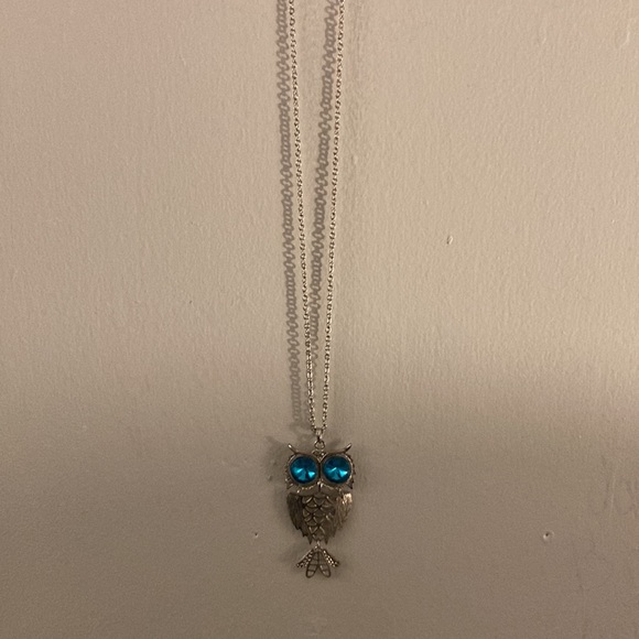 Brand New in Box Absolutely Gorgeous Infinity Slip On Blue Eyes Owl Necklace - Picture 10 of 17